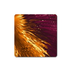 Lines Curlicue Fantasy Colorful Square Magnet by Bajindul