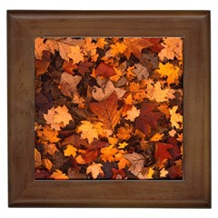 Fall Foliage Autumn Leaves October Framed Tiles by Pakrebo