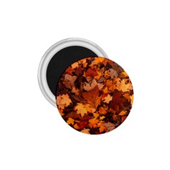 Fall Foliage Autumn Leaves October 1 75  Magnets by Pakrebo