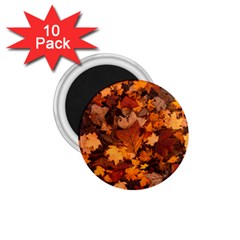 Fall Foliage Autumn Leaves October 1 75  Magnets (10 Pack)  by Pakrebo