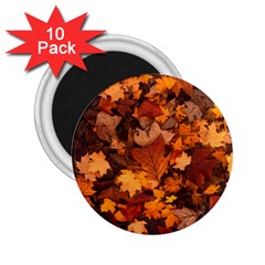 Fall Foliage Autumn Leaves October 2 25  Magnets (10 Pack)  by Pakrebo