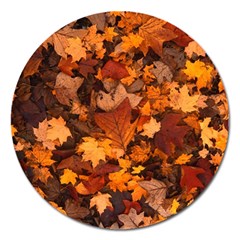 Fall Foliage Autumn Leaves October Magnet 5  (round) by Pakrebo