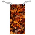 Fall Foliage Autumn Leaves October Jewelry Bag Back