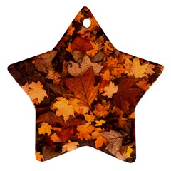 Fall Foliage Autumn Leaves October Star Ornament (two Sides) by Pakrebo