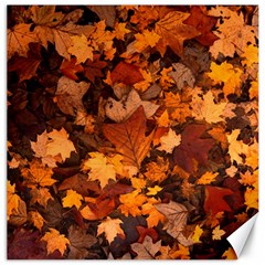 Fall Foliage Autumn Leaves October Canvas 16  X 16  by Pakrebo