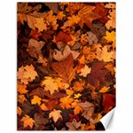 Fall Foliage Autumn Leaves October Canvas 18  x 24  17.8 x23.08  Canvas - 1