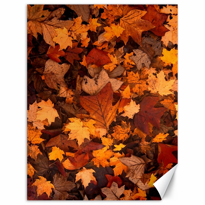 Fall Foliage Autumn Leaves October Canvas 18  x 24 