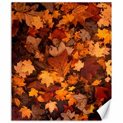 Fall Foliage Autumn Leaves October Canvas 20  X 24  by Pakrebo