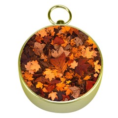 Fall Foliage Autumn Leaves October Gold Compasses by Pakrebo