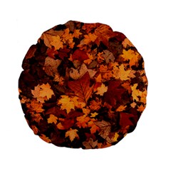 Fall Foliage Autumn Leaves October Standard 15  Premium Flano Round Cushions by Pakrebo