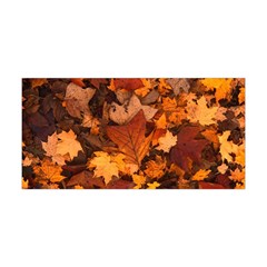 Fall Foliage Autumn Leaves October Yoga Headband