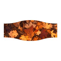 Fall Foliage Autumn Leaves October Stretchable Headband by Pakrebo