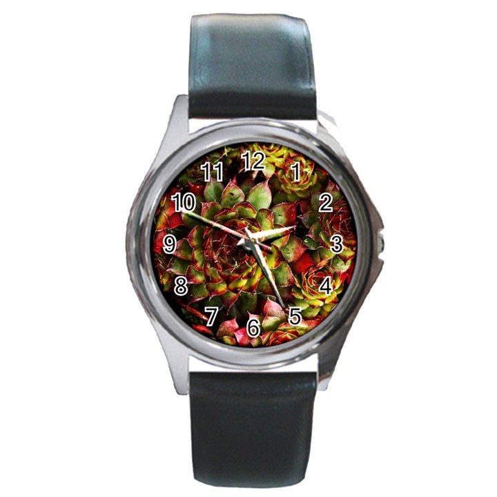 Plant Succulents Succulent Round Metal Watch