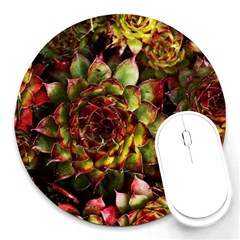 Plant Succulents Succulent Round Mousepads