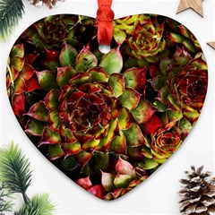 Plant Succulents Succulent Heart Ornament (Two Sides)