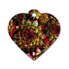 Plant Succulents Succulent Dog Tag Heart (One Side)