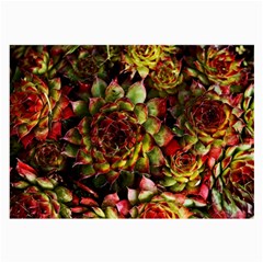 Plant Succulents Succulent Large Glasses Cloth (2 Sides) by Pakrebo