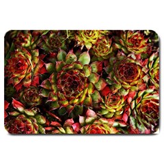 Plant Succulents Succulent Large Doormat 