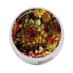 Plant Succulents Succulent 4-Port USB Hub (One Side)