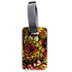 Plant Succulents Succulent Luggage Tag (two Sides) by Pakrebo