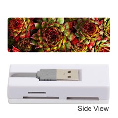 Plant Succulents Succulent Memory Card Reader (Stick)