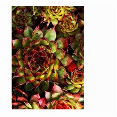 Plant Succulents Succulent Large Garden Flag (Two Sides)