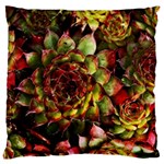 Plant Succulents Succulent Large Cushion Case (Two Sides) Front