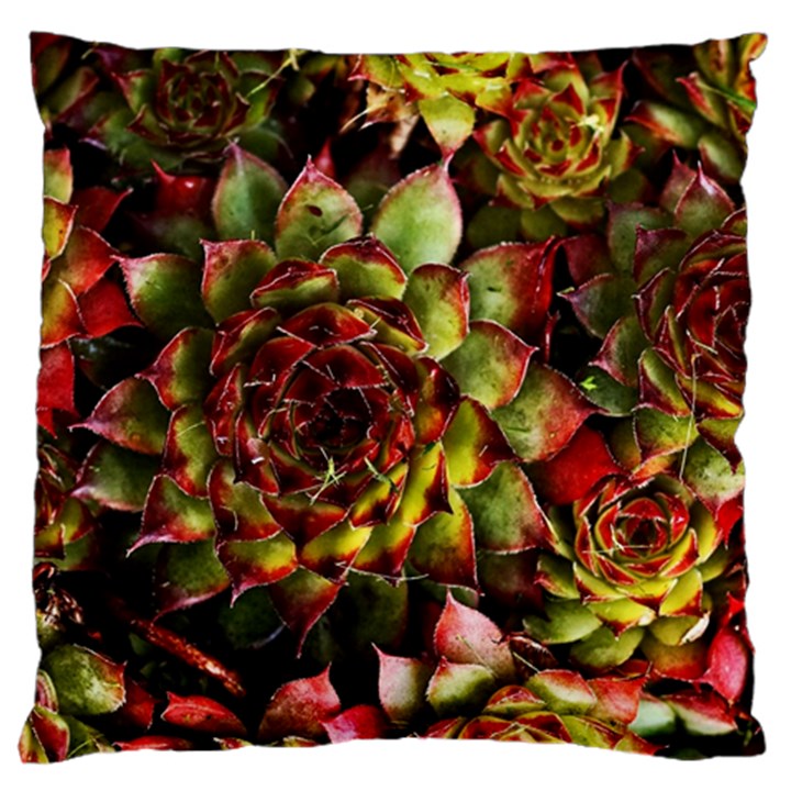 Plant Succulents Succulent Large Cushion Case (Two Sides)