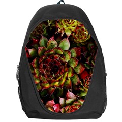 Plant Succulents Succulent Backpack Bag