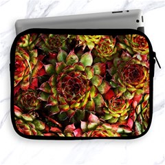 Plant Succulents Succulent Apple iPad 2/3/4 Zipper Cases