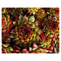 Plant Succulents Succulent Double Sided Flano Blanket (Medium) 