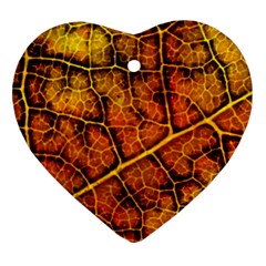 Autumn Leaves Forest Fall Color Ornament (heart) by Pakrebo