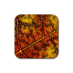 Autumn Leaves Forest Fall Color Rubber Coaster (square)  by Pakrebo