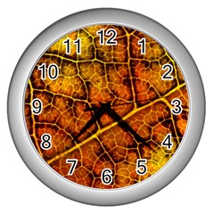 Autumn Leaves Forest Fall Color Wall Clock (silver) by Pakrebo