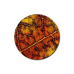 Autumn Leaves Forest Fall Color Rubber Coaster (round)  by Pakrebo