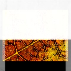 Autumn Leaves Forest Fall Color Rectangular Jigsaw Puzzl by Pakrebo