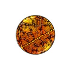 Autumn Leaves Forest Fall Color Hat Clip Ball Marker (4 Pack) by Pakrebo