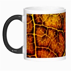 Autumn Leaves Forest Fall Color Morph Mugs by Pakrebo