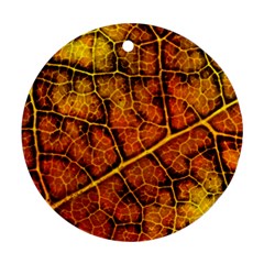 Autumn Leaves Forest Fall Color Round Ornament (two Sides) by Pakrebo