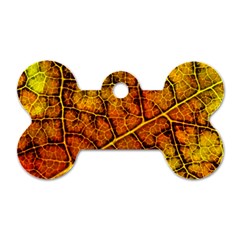 Autumn Leaves Forest Fall Color Dog Tag Bone (two Sides) by Pakrebo