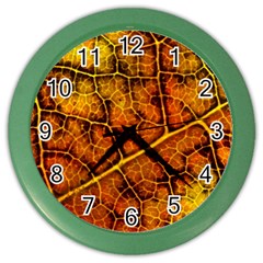 Autumn Leaves Forest Fall Color Color Wall Clock by Pakrebo