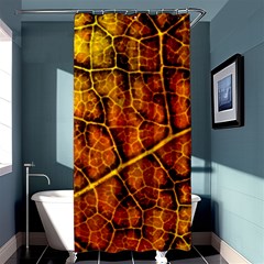 Autumn Leaves Forest Fall Color Shower Curtain 36  X 72  (stall)  by Pakrebo