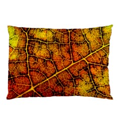 Autumn Leaves Forest Fall Color Pillow Case (two Sides) by Pakrebo