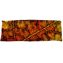 Autumn Leaves Forest Fall Color Body Pillow Case Dakimakura (two Sides) by Pakrebo