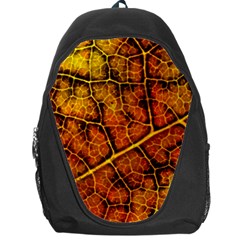 Autumn Leaves Forest Fall Color Backpack Bag by Pakrebo