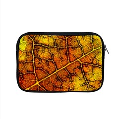 Autumn Leaves Forest Fall Color Apple Macbook Pro 15  Zipper Case by Pakrebo