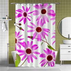 Pink Purple Daisies Design Flowers Shower Curtain 48  X 72  (small)  by Pakrebo