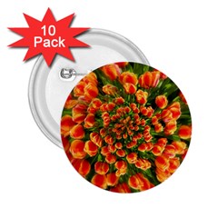 Tulips Arrangement Many Blossom 2 25  Buttons (10 Pack)  by Pakrebo