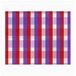 Gingham Pattern Line Small Glasses Cloth Front