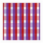 Gingham Pattern Line Medium Glasses Cloth (2 Sides) Back